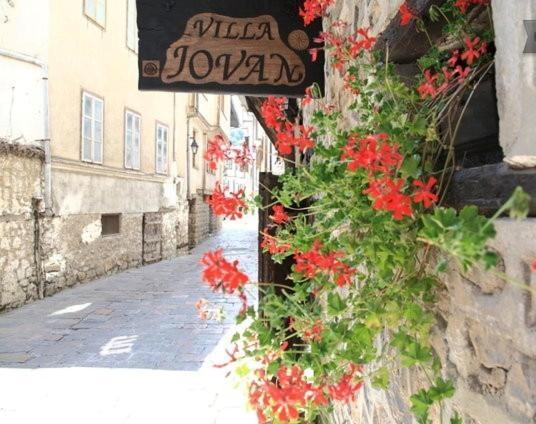 Villa Jovan Ohrid Kültér fotó